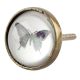 Butterfly Inside Glass And Metal Drawer Knob